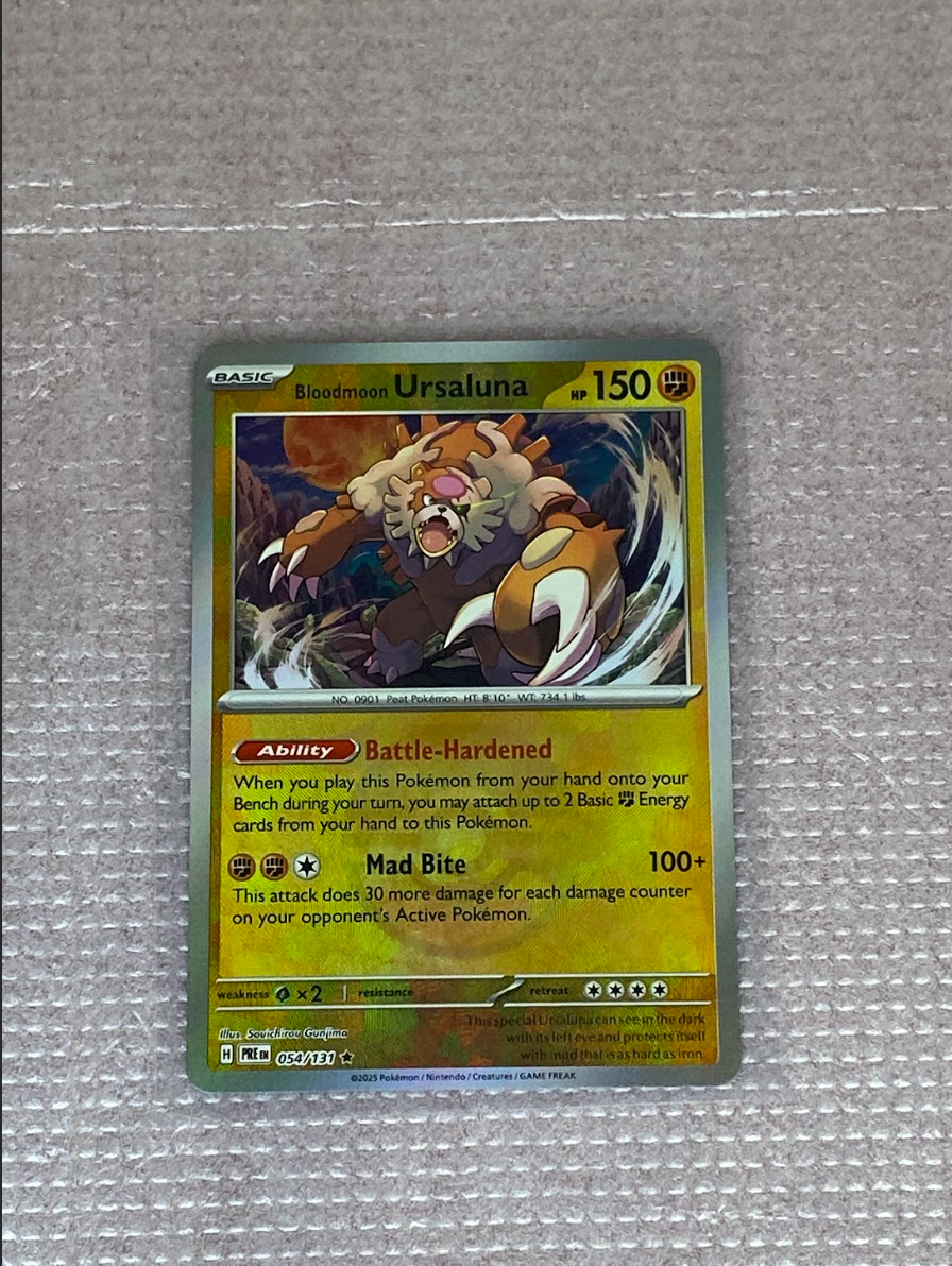 Bloodmoon Ursaluna Master Pokeball – Holo Rare