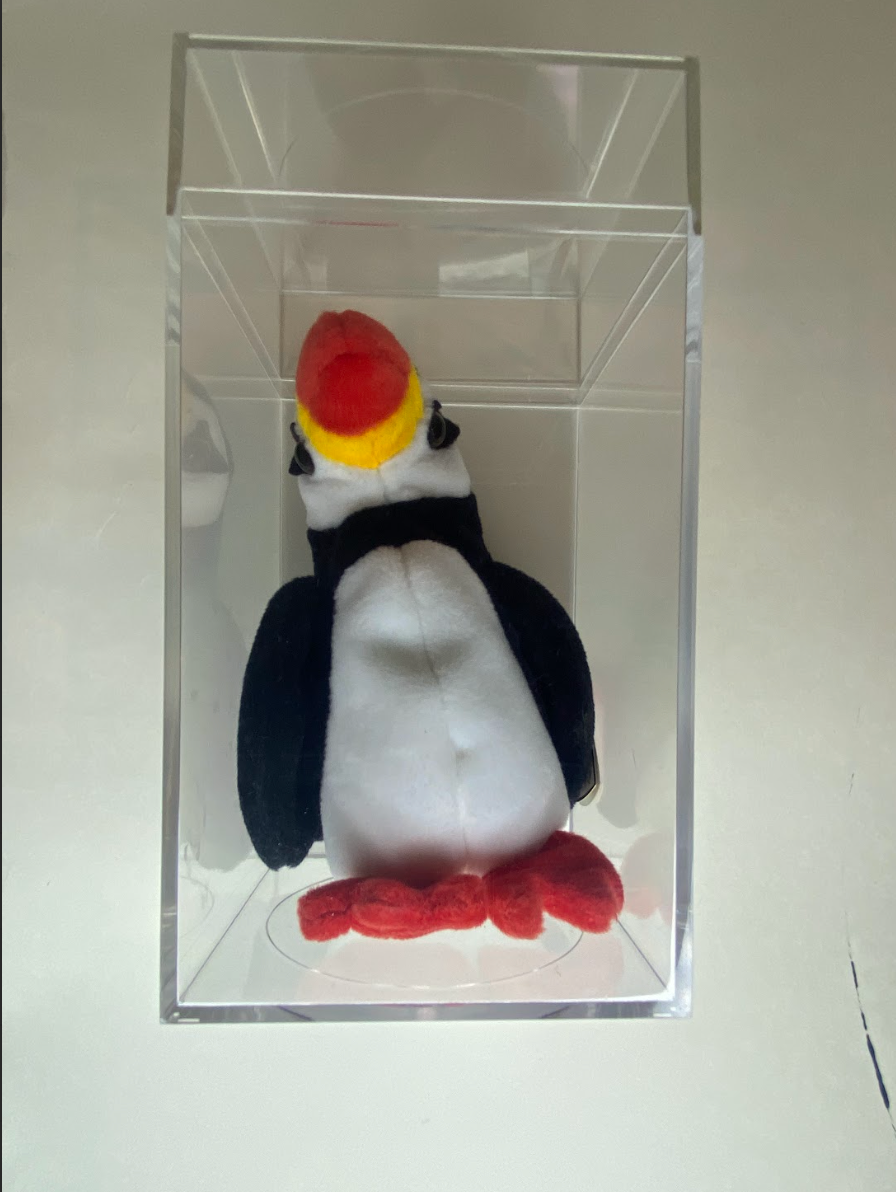 Ty Beanie Baby – “Beak” the Toucan (Retired) in Display Case